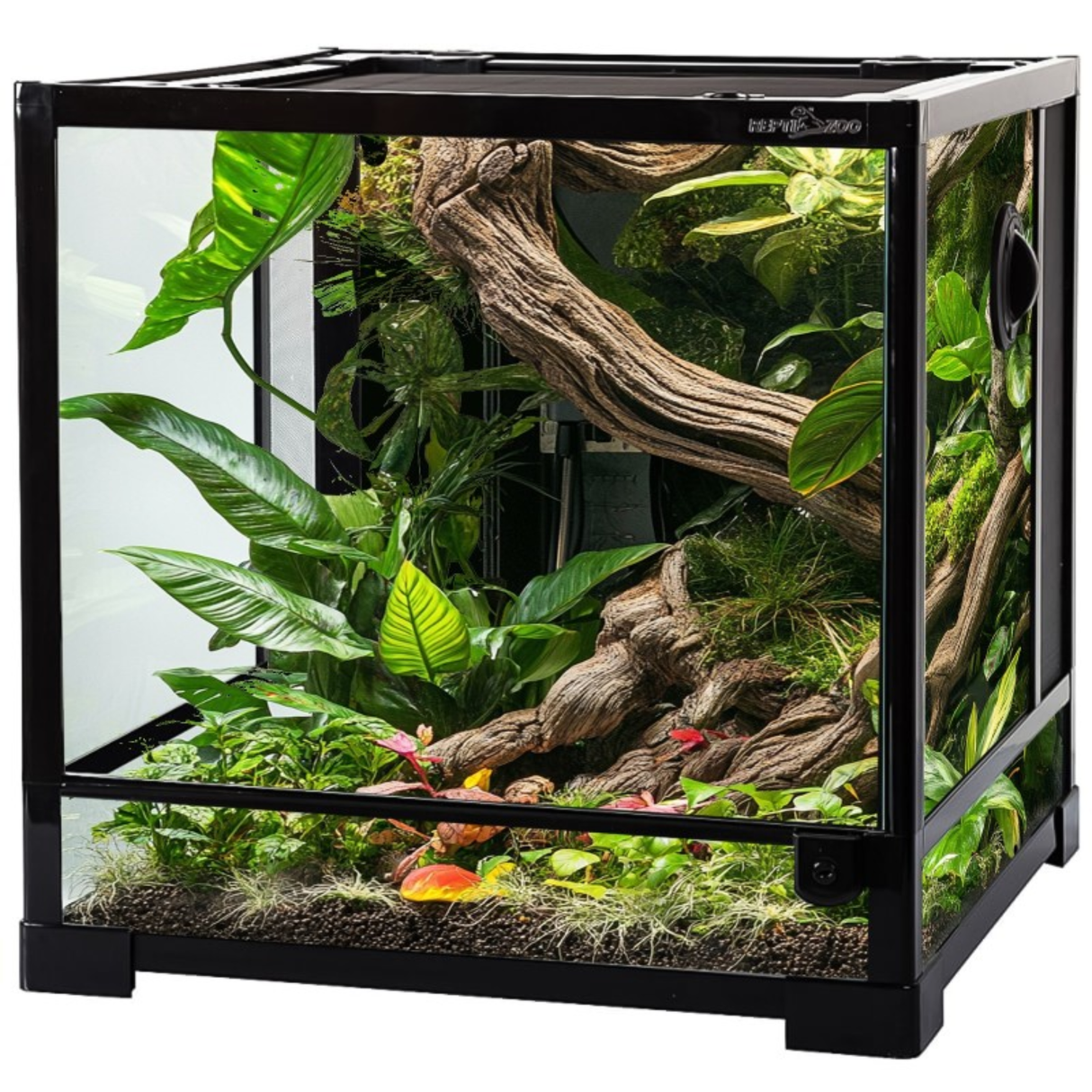 Repti-Zoo Glass Terrarium 45x45x45cm - glass terrarium with metal mesh