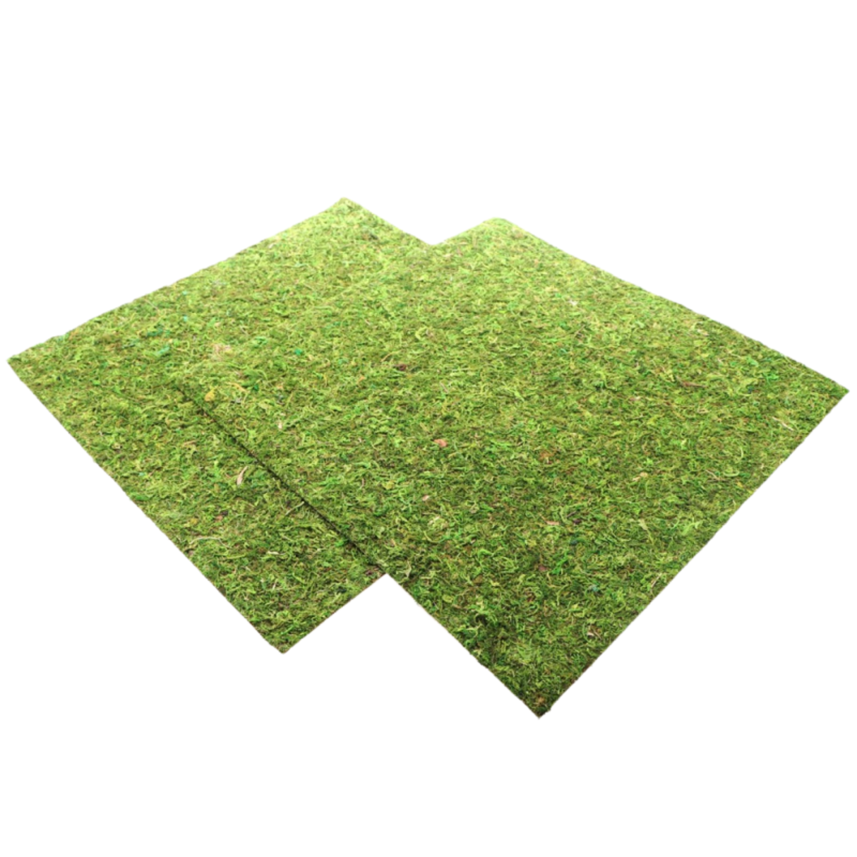 Repti-Zoo Natural Moss Back&Bottom - background and substrate made of moss 45x45cm