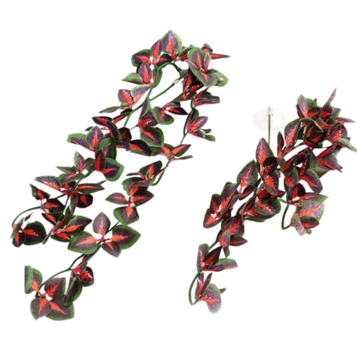 Repti-Zoo hanging plant 40cm - Coleus Blumei