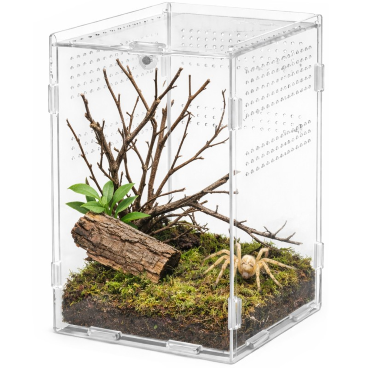 Terrario MicroAir Hab - acrylic terrarium 12x12x20cm