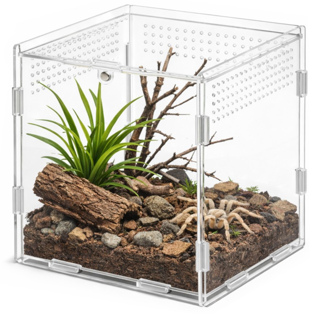 Terrario MicroAir Hab - acrylic terrarium 15x15x15cm