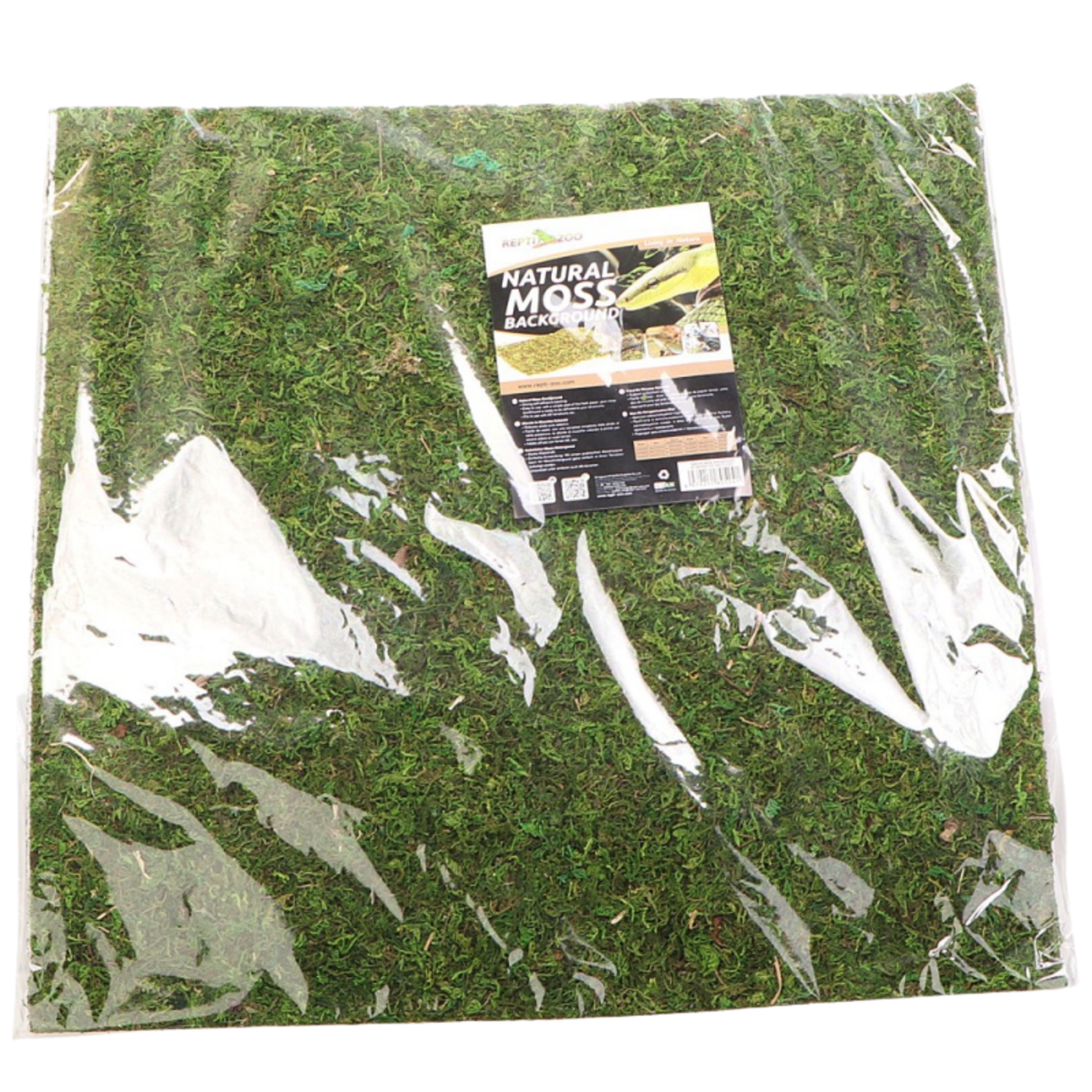 Repti-Zoo Natural Moss Back&Bottom - background and substrate made of moss 45x45cm