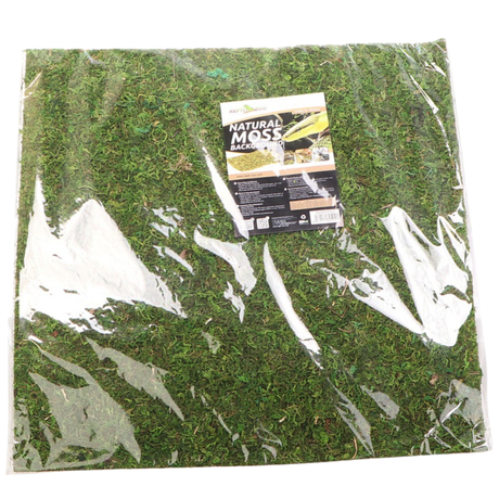Repti-Zoo Natural Moss Back&Bottom - background and substrate made of moss 45x45cm