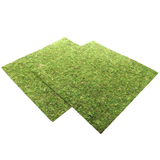 Repti-Zoo Natural Moss Back&Bottom - background and substrate made of moss 45x45cm