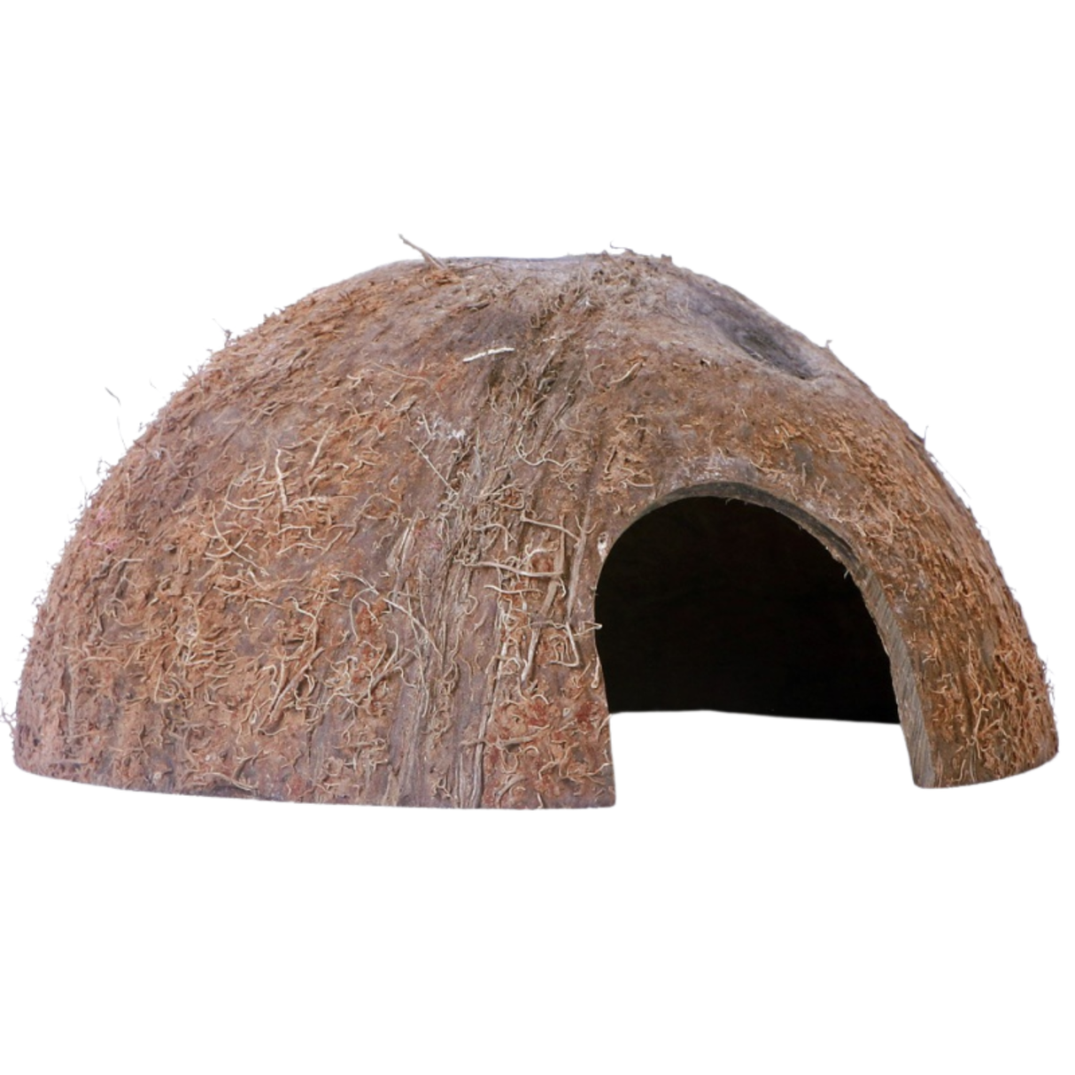 Terrario CocoCave L - natural coconut half