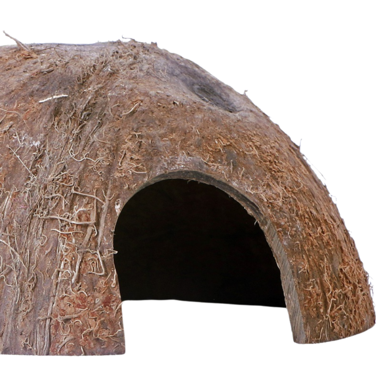 Terrario CocoCave L - natural coconut half
