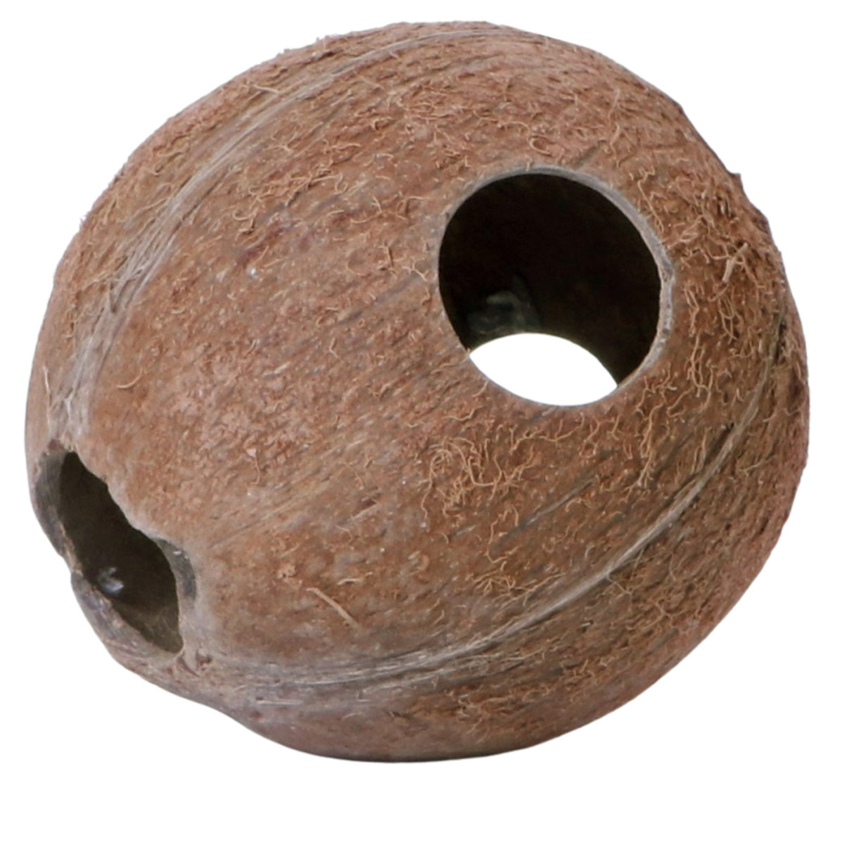 Terrario CocoLair - whole natural coconut