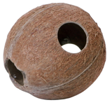 Terrario CocoLair - whole natural coconut