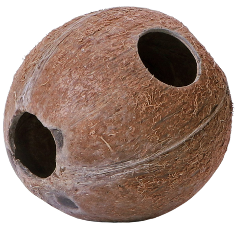 Terrario CocoLair - whole natural coconut
