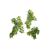 Repti-Zoo hanging plant Fig tree 40cm
