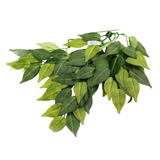 Repti-Zoo hanging plant Fig tree 40cm