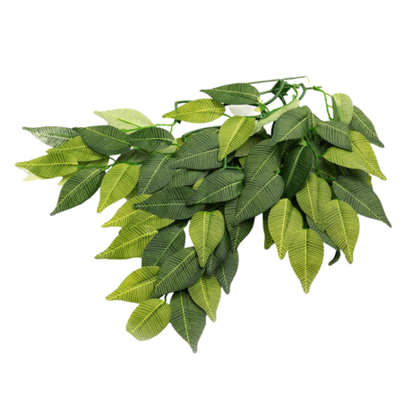 Repti-Zoo hanging plant Fig tree 40cm