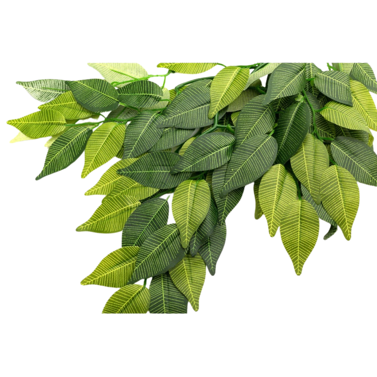 Repti-Zoo hanging plant Fig tree 40cm
