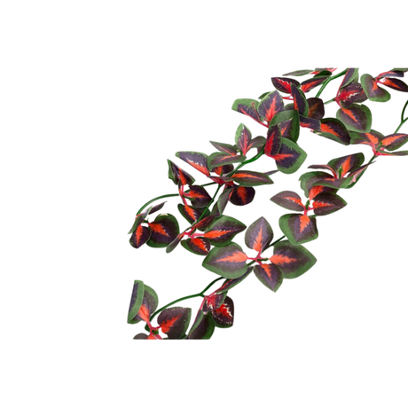 Repti-Zoo hanging plant 40cm - Coleus Blumei