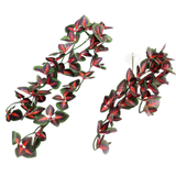 Repti-Zoo hanging plant 40cm - Coleus Blumei