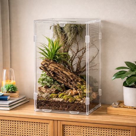 Terrario MicroAir Hab - acrylic terrarium 12x12x20cm