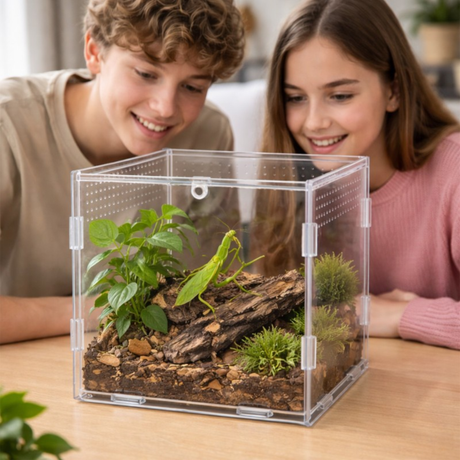 Terrario MicroAir Hab - acrylic terrarium 15x15x15cm