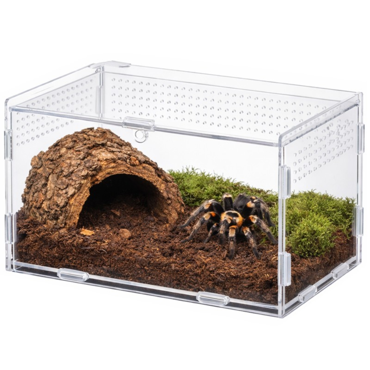 Terrarium MicroHab Air - acrylic terrarium 20x12x12