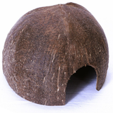 Terrario CocoCave L - smooth coconut half