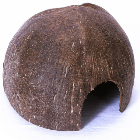 Terrario CocoCave L - smooth coconut half